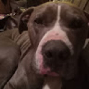 Meet your Posher, Faith